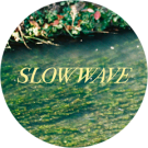 Slow Wave Avatar